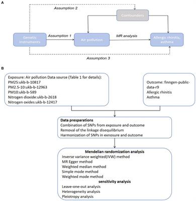 Causal association between air pollution and allergic rhinitis, asthma: a Mendelian randomization study